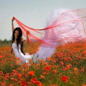 481262_161857253945865_698705132_n