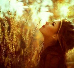 1462843_252233501601889_830856501_n