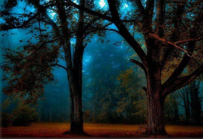 1488239_359311930876887_783947145_n