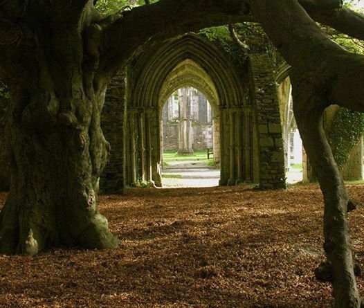 Fénykép: A lugas…<br /><br /><br /><br />
Helena</p><br /><br /><br />
<p>A romkert végében vártál reám,<br /><br /><br /><br />
s a boltív karcsú ívén egy futó<br /><br /><br /><br />
lián, mely mögé rejtőzve osontam.<br /><br /><br /><br />
Zizzenő levelek altatták a<br /><br /><br /><br />
csendesülő neszeket, csak ketten<br /><br /><br /><br />
zavartuk szunnyadó ligetünk.<br /><br /><br /><br />
Párás melegben izzadtak a lombok,<br /><br /><br /><br />
alattuk állt még a kopott kerti .pad,<br /><br /><br /><br />
s jajdult a kovácsolt keret. Hány évbe<br /><br /><br /><br />
is tellett, hogy lábára rozsda marja<br /><br /><br /><br />
a búsongó éveket... Lám hajamba is<br /><br /><br /><br />
került egy-két ezüst szál, s az évek<br /><br /><br /><br />
rásimították végleg kezed érintését.<br /><br /><br /><br />
Leültem és vártam, hol bukkansz elő<br /><br /><br /><br />
a vadszőlő lugasa árnyából;<br /><br /><br /><br />
hol oly régen babráltál a gyöngyös<br /><br /><br /><br />
gombokon. Ajkamra csókoltál egy-két<br /><br /><br /><br />
sóhajt, és simogató kezeid szelíd<br /><br /><br /><br />
imát rebegtek bűnbánón a halmokon. </p><br /><br /><br />
<p>Hiába várok, nem jössz, csak emléked<br /><br /><br /><br />
motoz megfáradt szívemben, szüntelen.