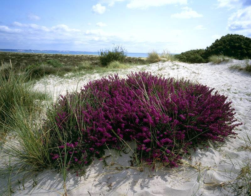 10446007_703340656411919_4450770301338523126_n