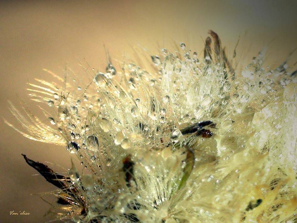 60990_548790565216429_1490983232_n